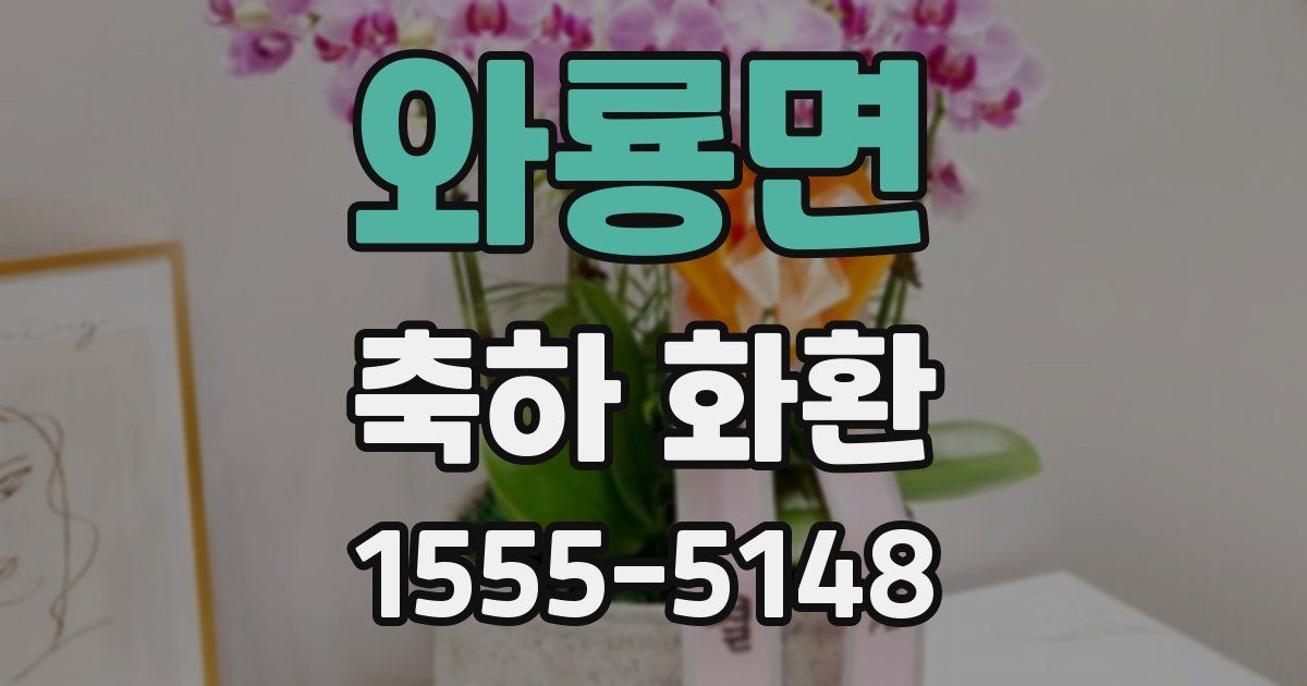 와룡면 축하 화환