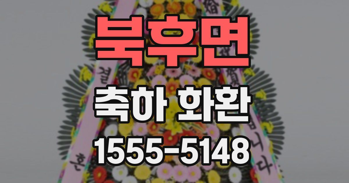 북후면 축하 화환
