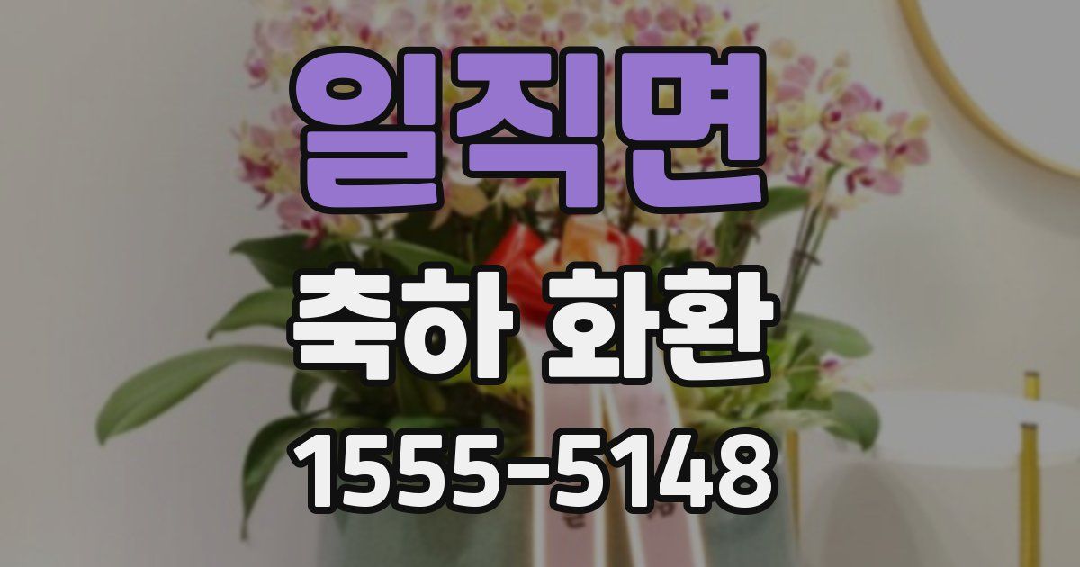 일직면 축하 화환