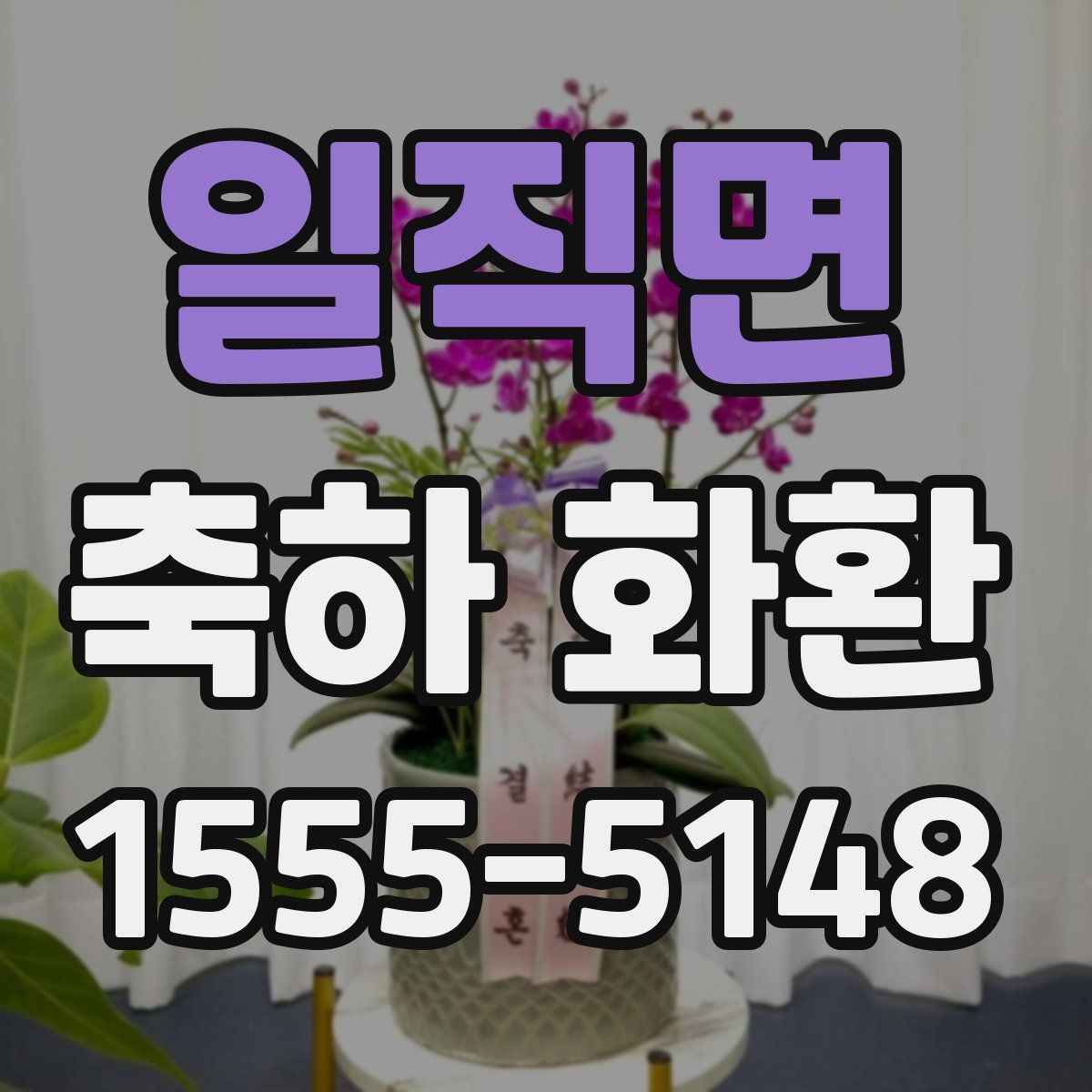 일직면 축하 화환