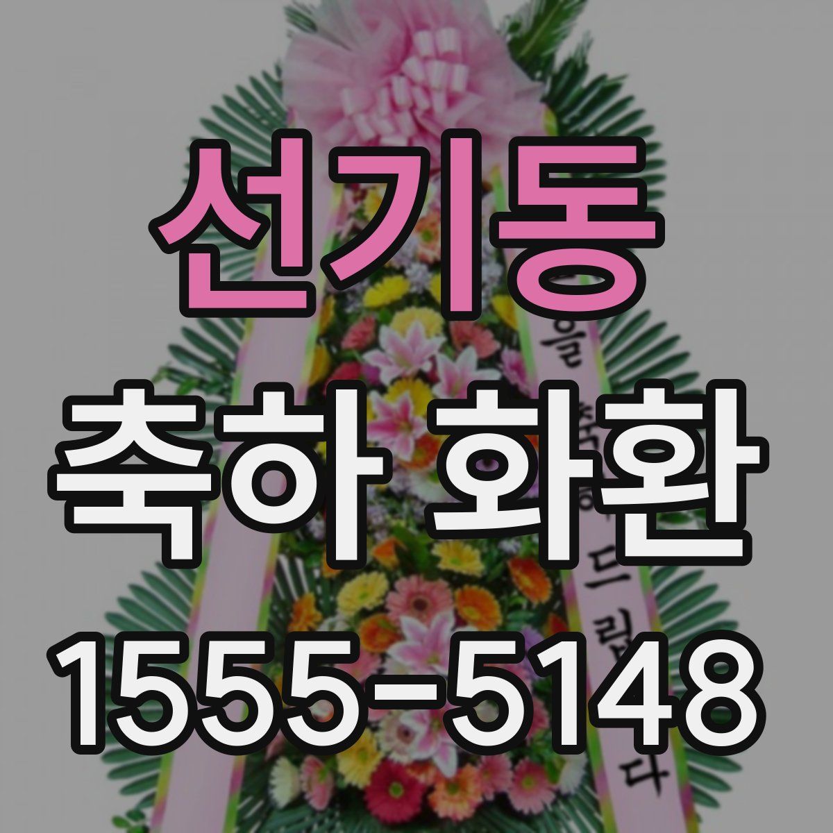 선기동 축하 화환