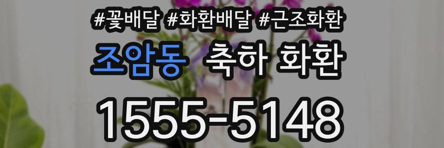 조암동 축하 화환