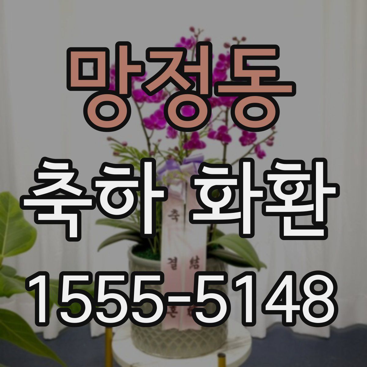 망정동 축하 화환