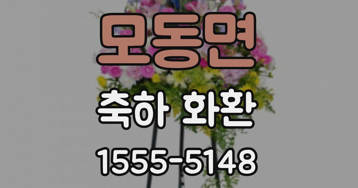 모동면 축하 화환