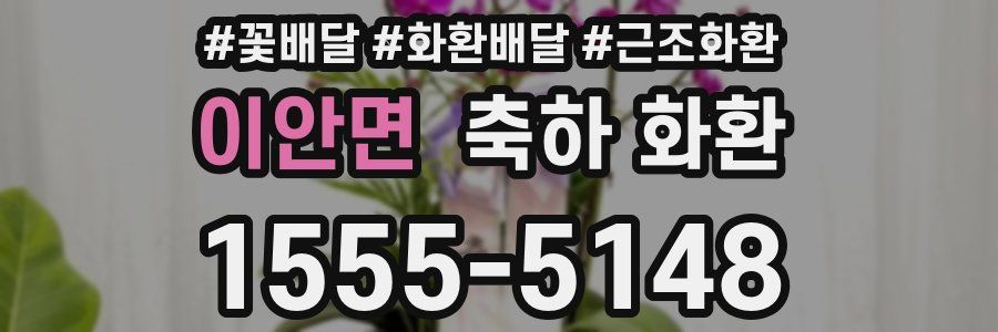 이안면 축하 화환