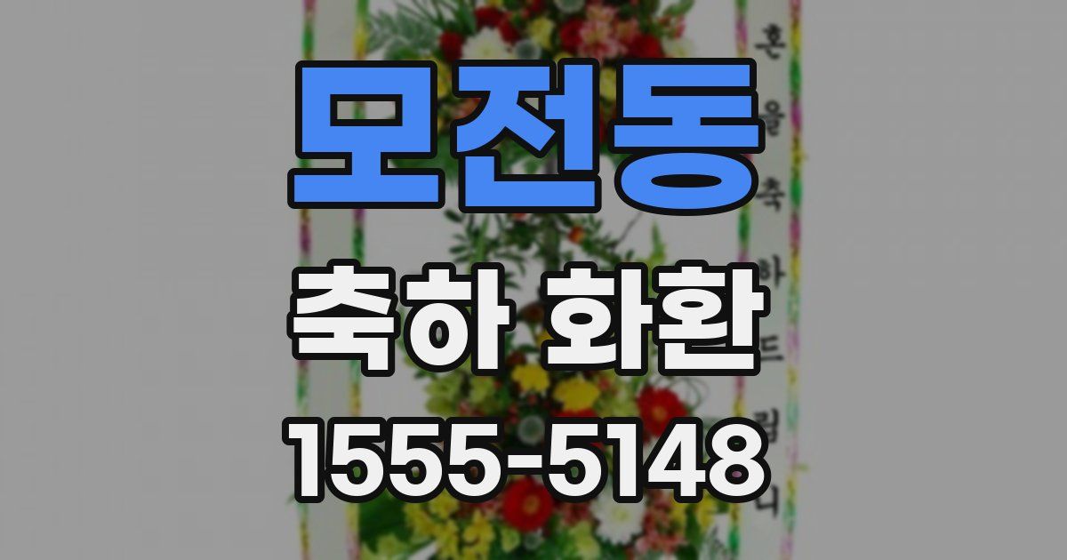 모전동 축하 화환