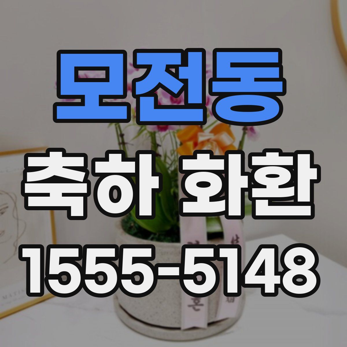 모전동 축하 화환