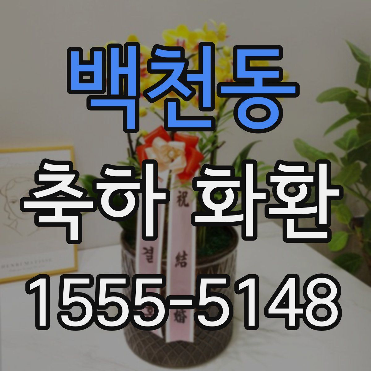 백천동 축하 화환