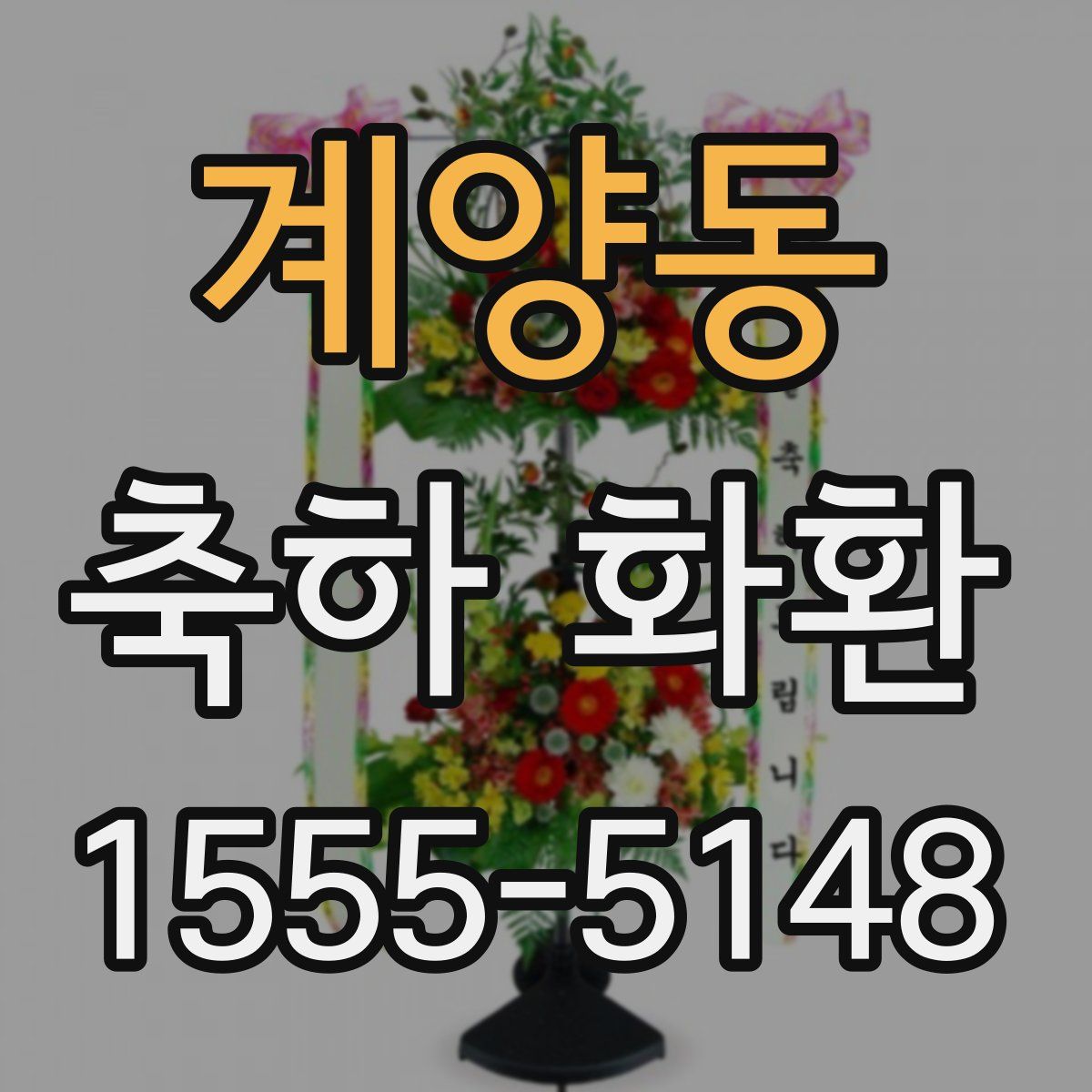 계양동 축하 화환
