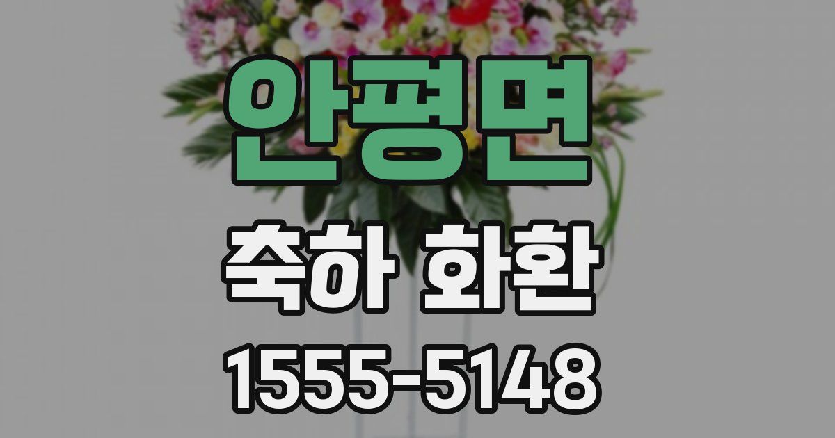 안평면 축하 화환