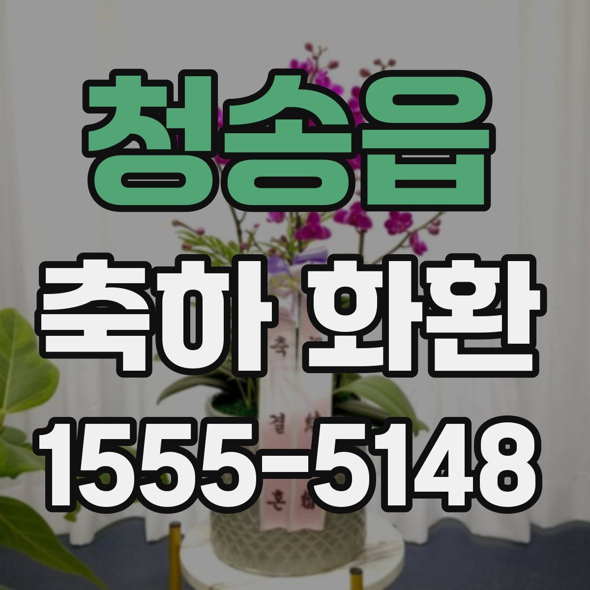 청송읍 축하 화환