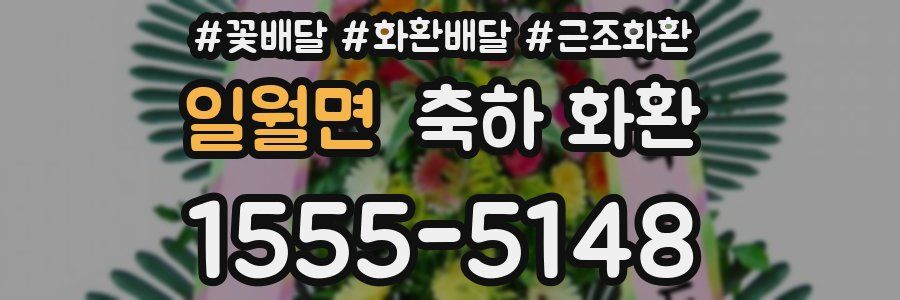 일월면 축하 화환