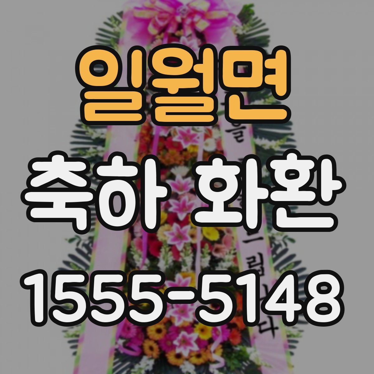 일월면 축하 화환