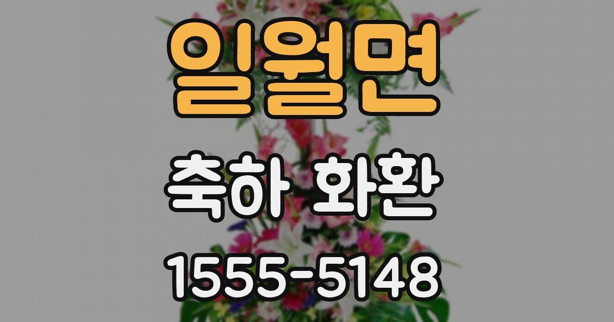 일월면 축하 화환