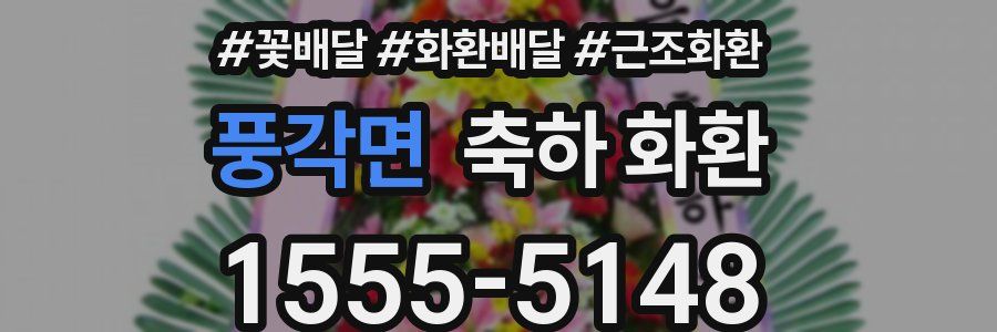 풍각면 축하 화환
