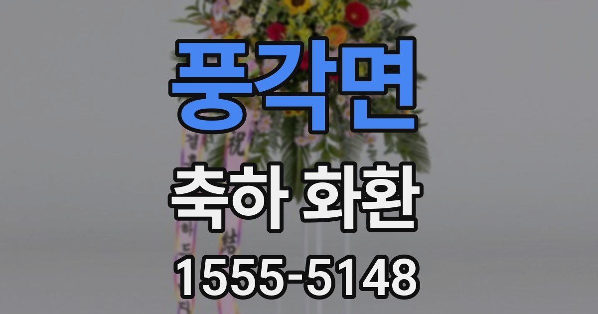 풍각면 축하 화환
