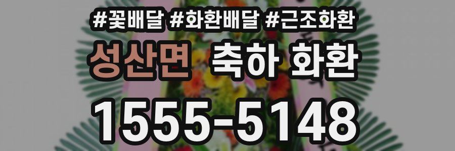 성산면 축하 화환