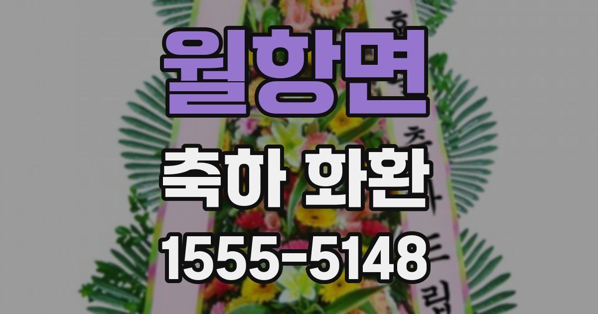 월항면 축하 화환