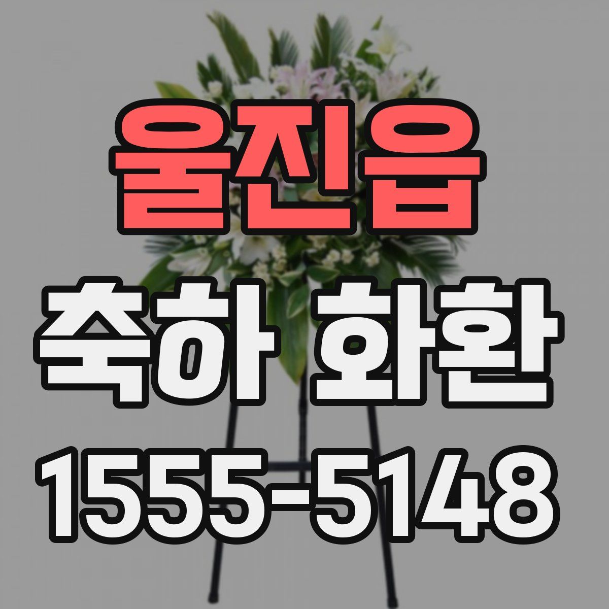 울진읍 축하 화환