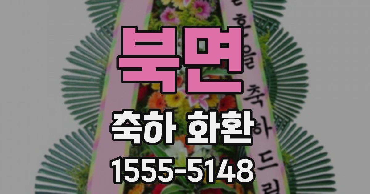 북면 축하 화환