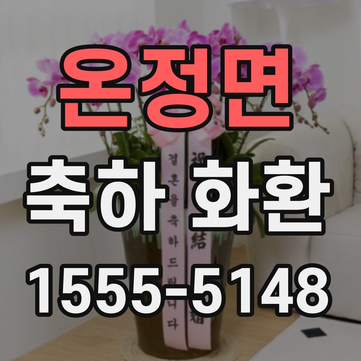 온정면 축하 화환