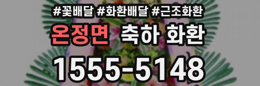온정면 축하 화환