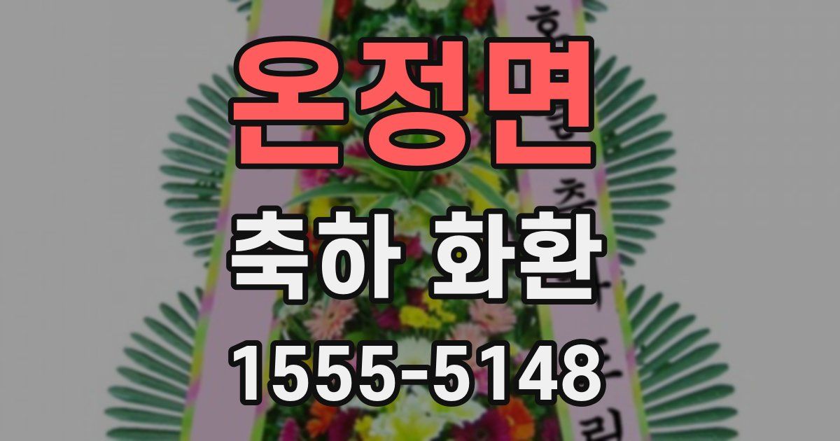 온정면 축하 화환