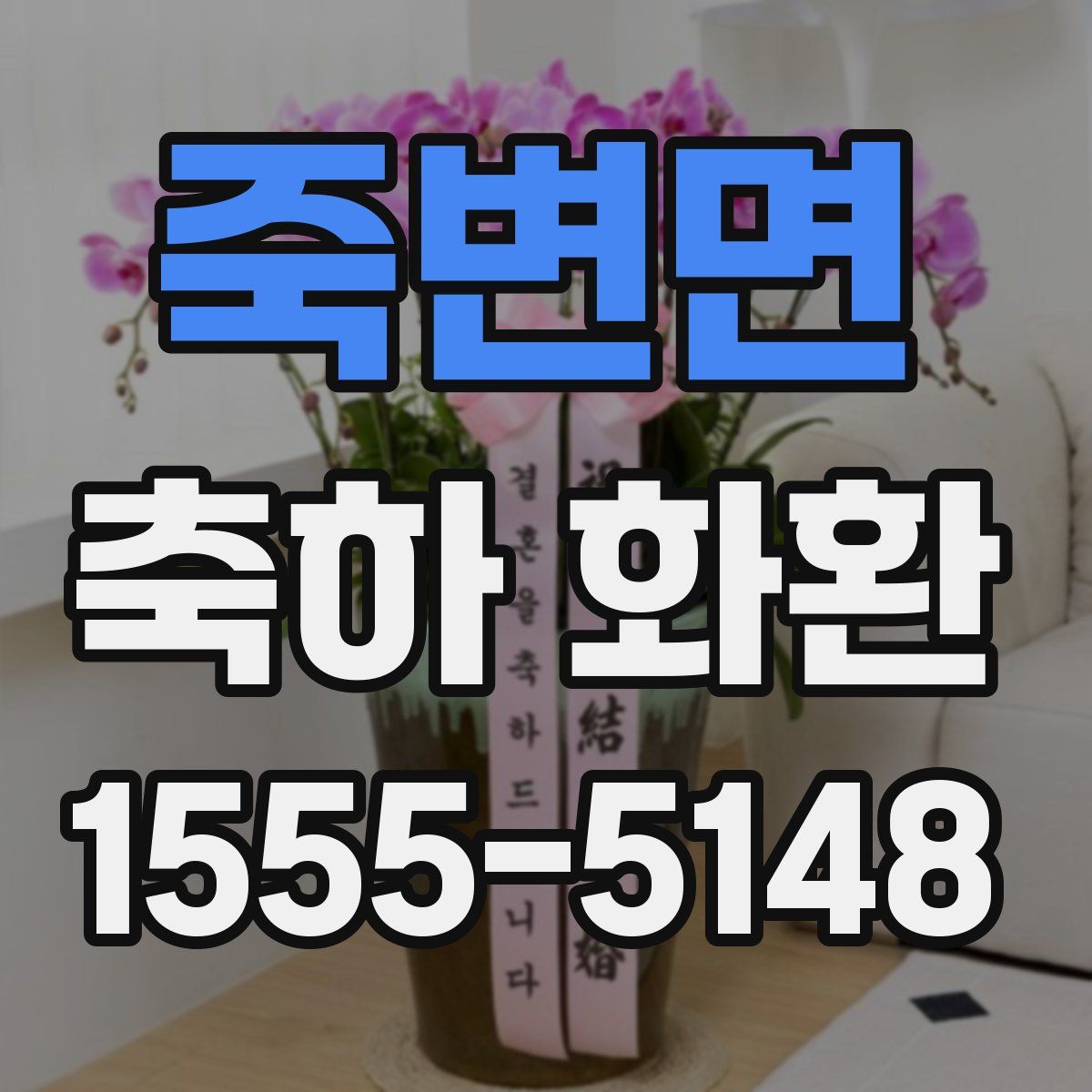 죽변면 축하 화환