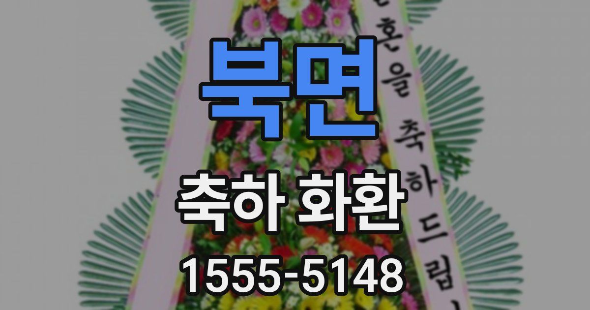 북면 축하 화환
