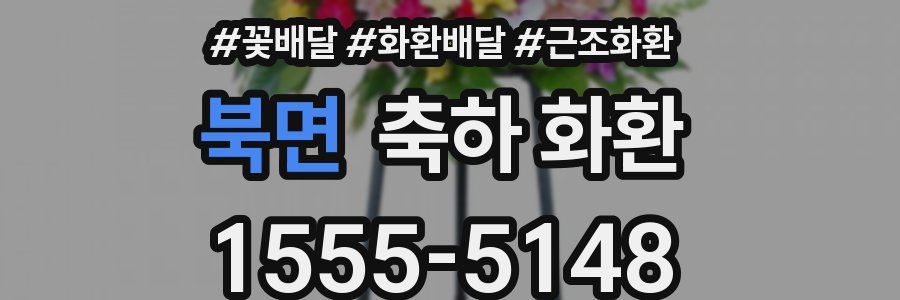 북면 축하 화환