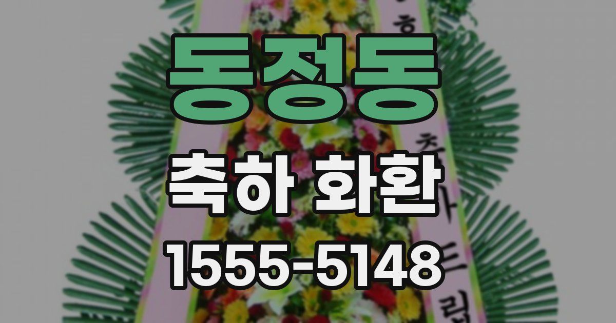 동정동 축하 화환