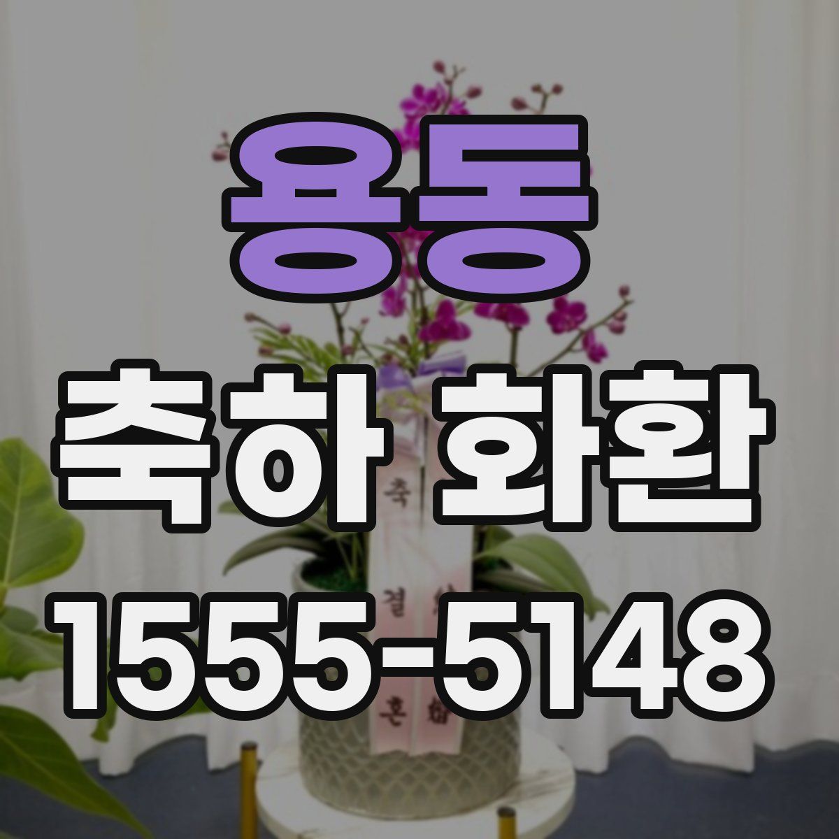 용동 축하 화환