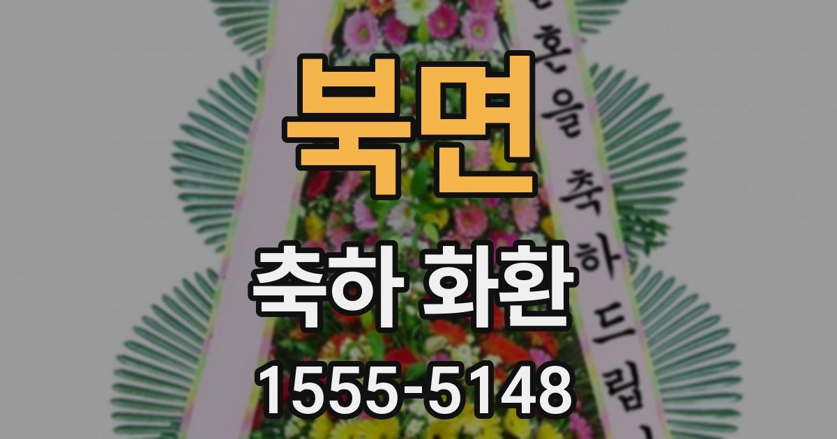 북면 축하 화환