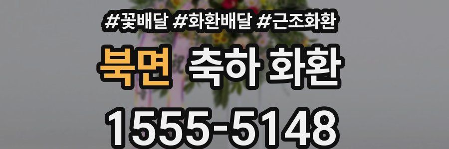 북면 축하 화환