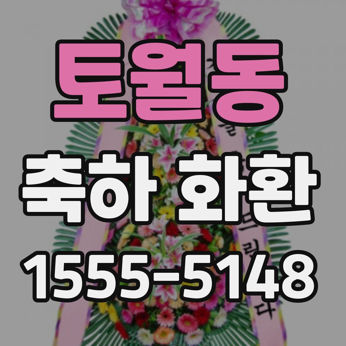 토월동 축하 화환