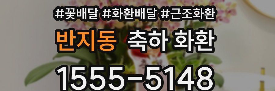 반지동 축하 화환