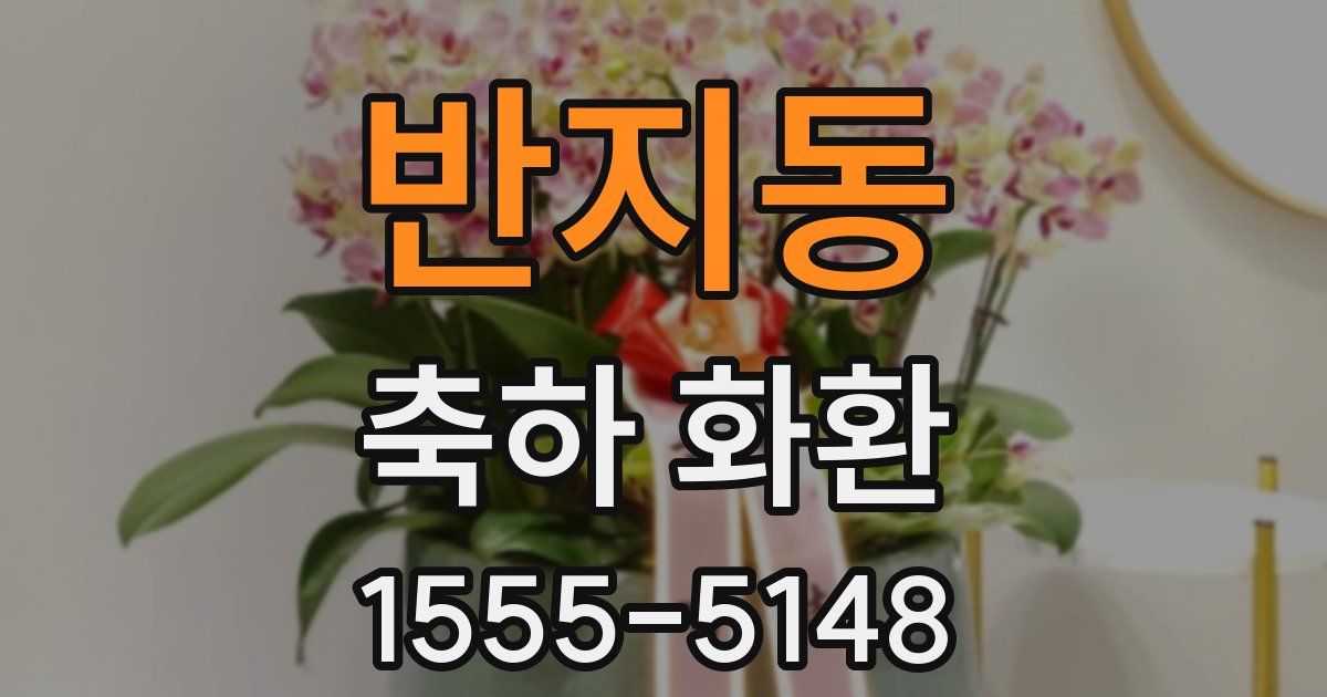 반지동 축하 화환