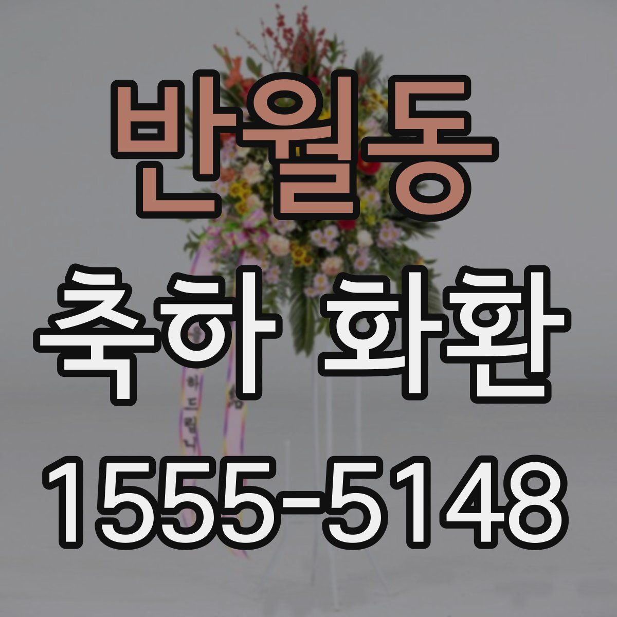 반월동 축하 화환