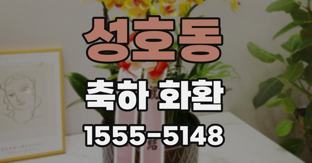 성호동 축하 화환