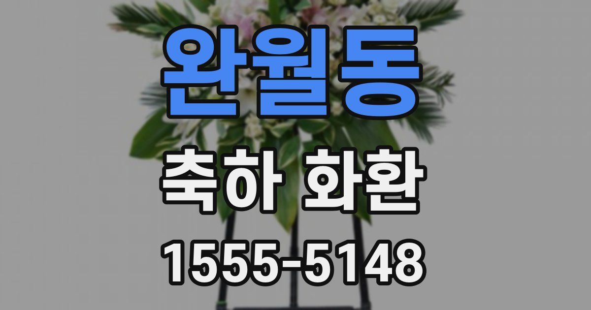 완월동 축하 화환