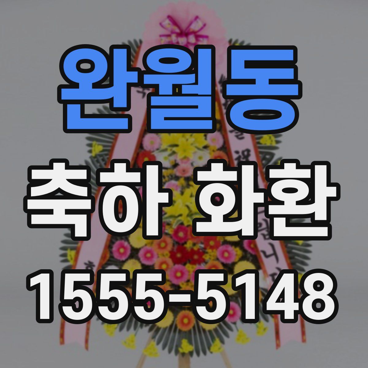 완월동 축하 화환