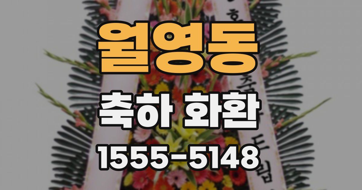 월영동 축하 화환