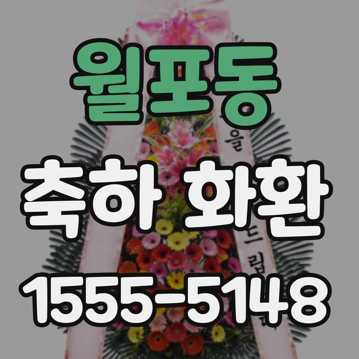 월포동 축하 화환