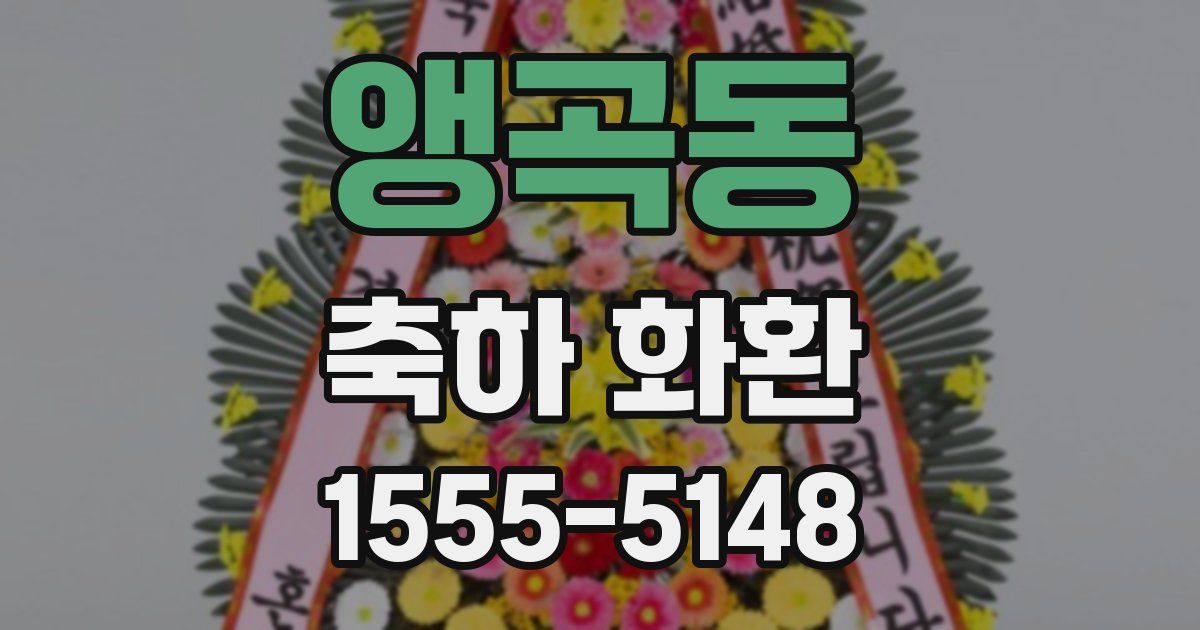 앵곡동 축하 화환