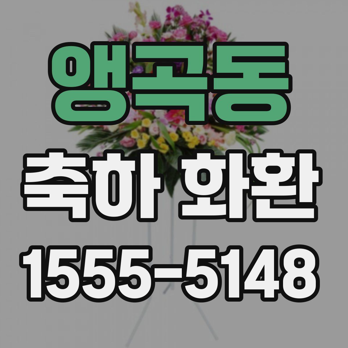 앵곡동 축하 화환