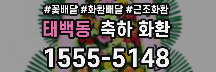 태백동 축하 화환