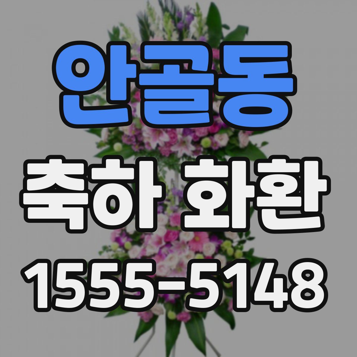 안골동 축하 화환