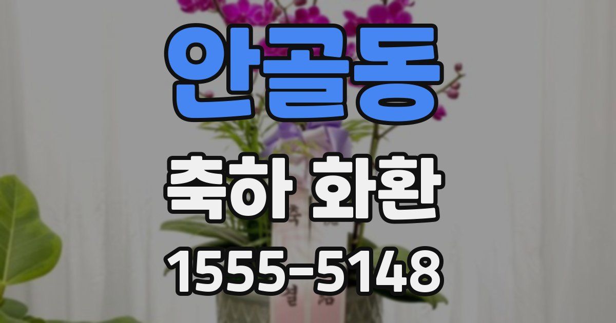 안골동 축하 화환