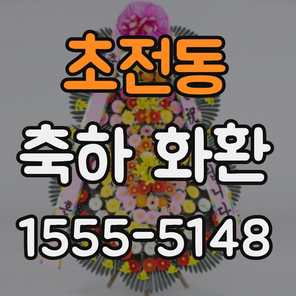 초전동 축하 화환