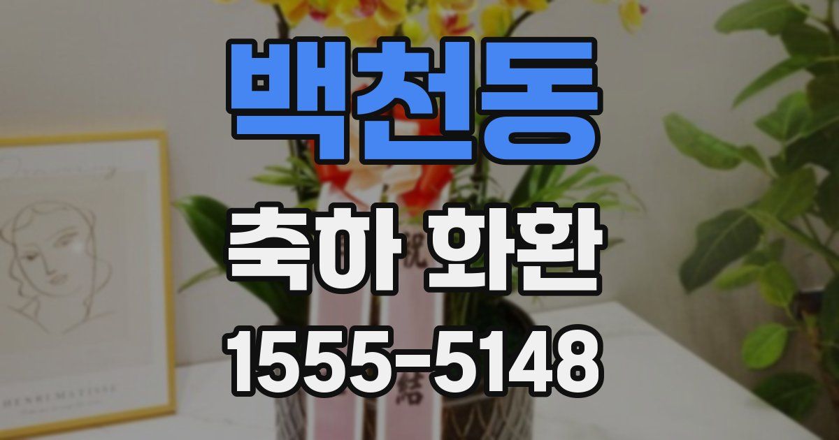 백천동 축하 화환